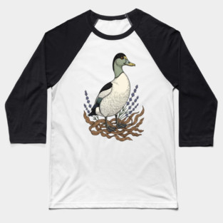 Common Eider Duck Art for Coastal Bird Lovers Baseball T-Shirt