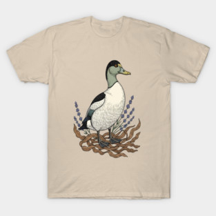 Common Eider Duck Art for Coastal Bird Lovers T-Shirt