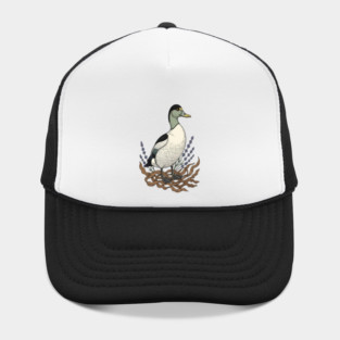 Common Eider Duck Art for Coastal Bird Lovers Hat
