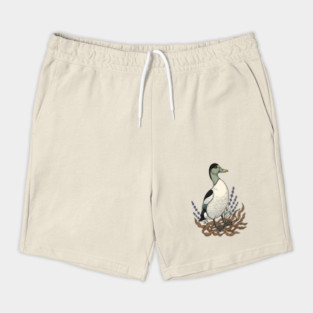 Common Eider Duck Art for Coastal Bird Lovers Shorts
