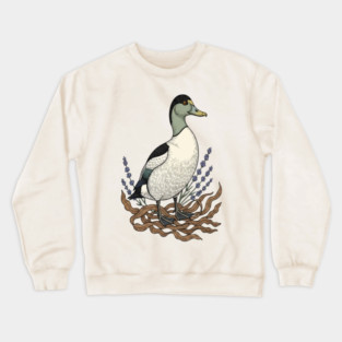 Common Eider Duck Art for Coastal Bird Lovers Crewneck Sweatshirt