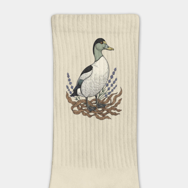 Common Eider Duck Art for Coastal Bird Lovers by BirdsnStuff