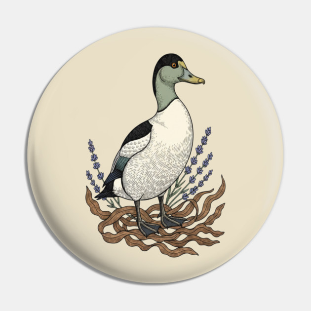 Common Eider Duck Art for Coastal Bird Lovers Pin by BirdsnStuff