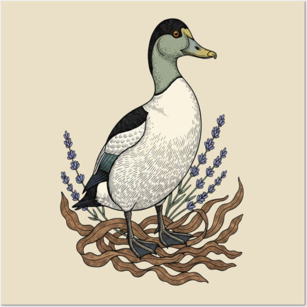 Common Eider Duck Art for Coastal Bird Lovers Wall Art by BirdsnStuff