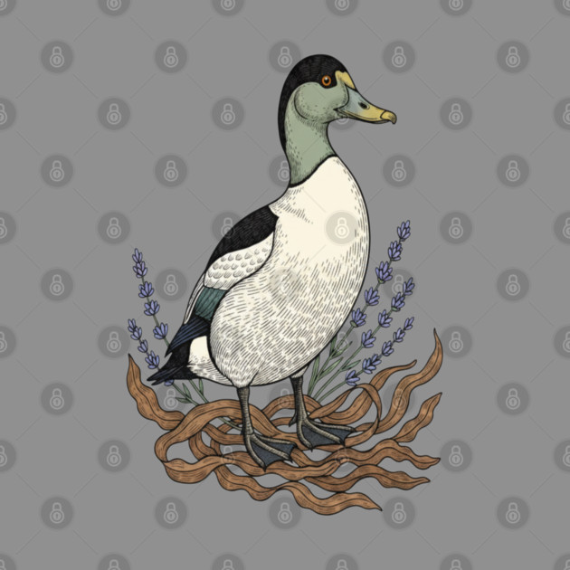 Common Eider Duck Art for Coastal Bird Lovers by BirdsnStuff