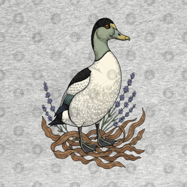 Common Eider Duck Art for Coastal Bird Lovers by BirdsnStuff
