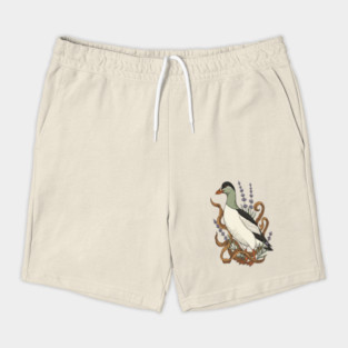 Common Elder Duck with Sea Lavender Wildlife Nature Shorts