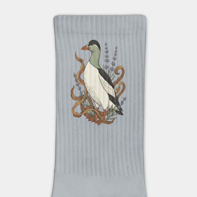 Common Elder Duck with Sea Lavender Wildlife Nature by BirdsnStuff