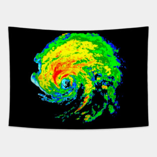 Meteorologist Storm Hunter Tapestry