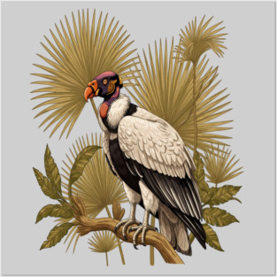 King Vulture in Tropical Palm Canopy Posters and Art