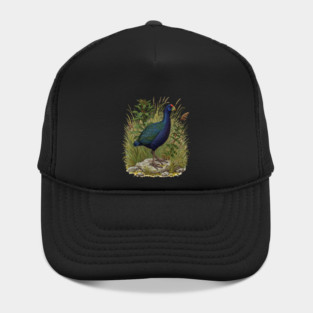 Purple Swamphen Among Wild Wetland Plants Hat