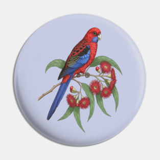 Crimson Rosella with Eucalyptus Blossoms Pin