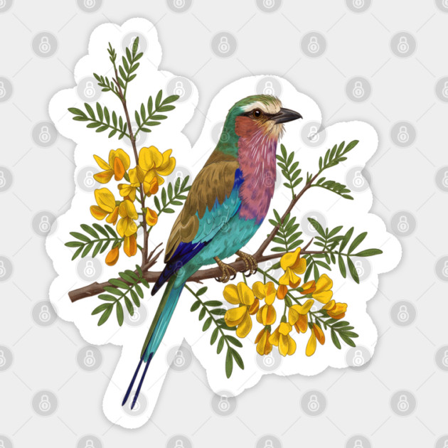 Lilac Breasted Roller with Acacia Blossoms Sticker by BirdsnStuff