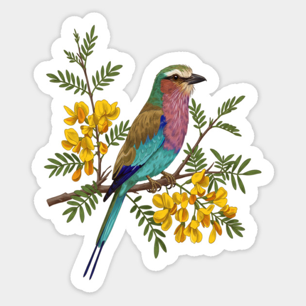 Lilac Breasted Roller with Acacia Blossoms Magnet by BirdsnStuff