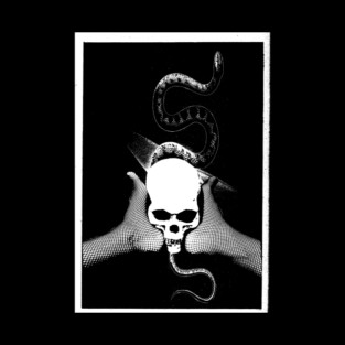 A Pedibus Usque Ad Caput Posters and Art