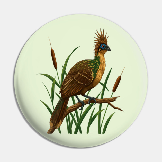 Hoatzin on Branch in Lush Wetland Growth Pin by BirdsnStuff
