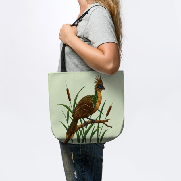 Hoatzin on Branch in Lush Wetland Growth by BirdsnStuff