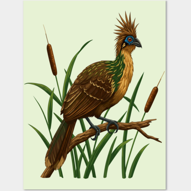 Hoatzin on Branch in Lush Wetland Growth Wall Art by BirdsnStuff