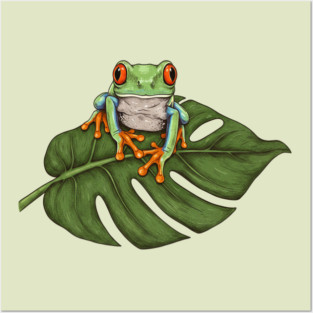 Red Eyed Tree Frog Tropical Wildlife Posters and Art