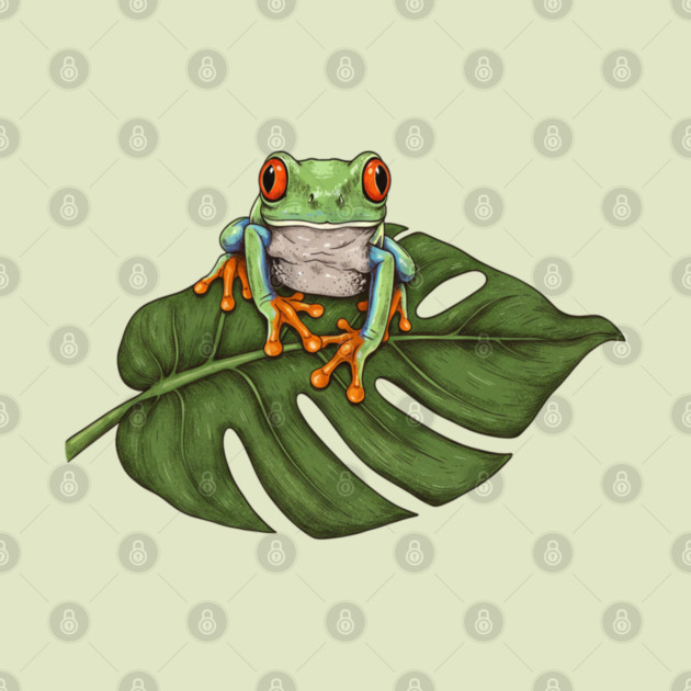 Red Eyed Tree Frog Tropical Wildlife by BirdsnStuff