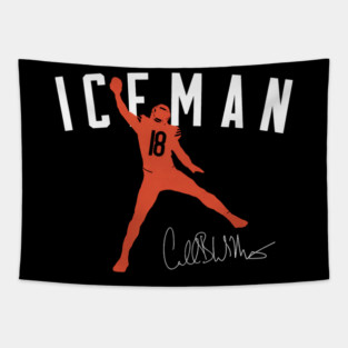 caleb-williams Tapestry