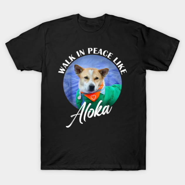 Walk for Peace Monks with Aloka T-Shirt by dtr_art