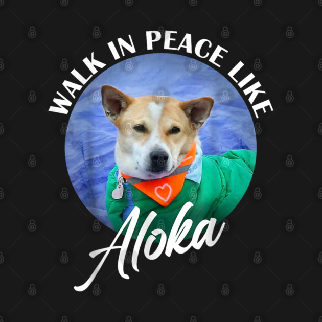 Walk for Peace Monks with Aloka by dtr_art