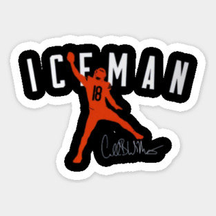 caleb-williams Magnet