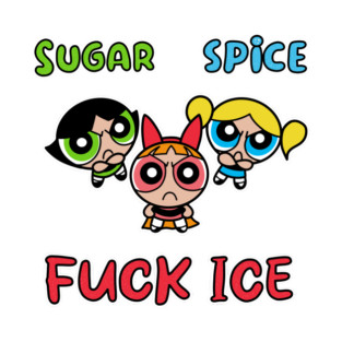Sugar, spice, fuck ICE T-Shirt