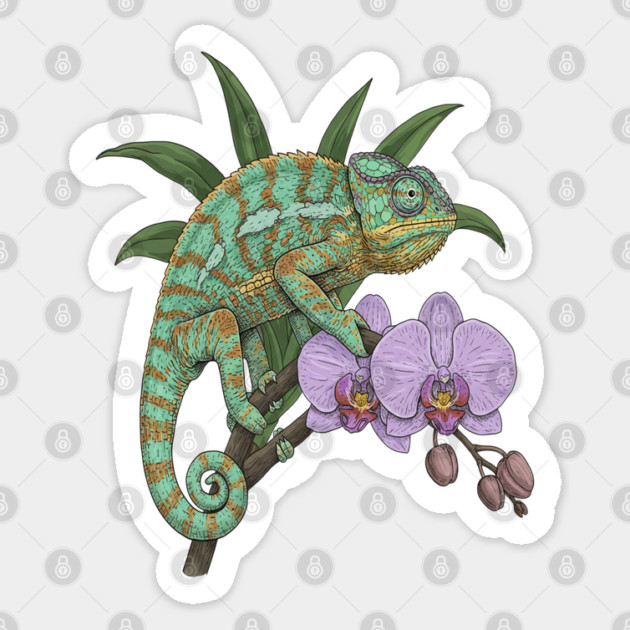 Panther Chameleon Tropical Reptile Design Sticker by BirdsnStuff