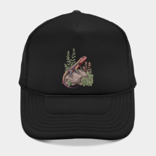 Ocellated Lizard on Stone with Succulents Hat
