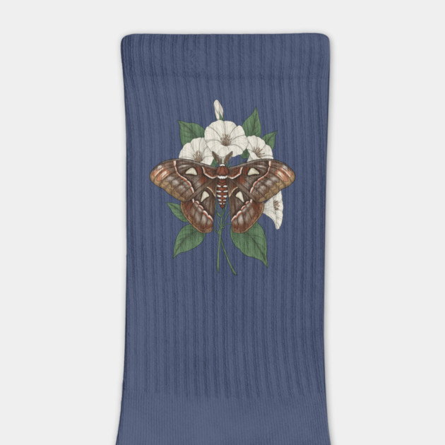 Cecropia Moth Nature Design by BirdsnStuff