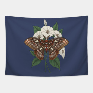 Cecropia Moth Nature Design Tapestry