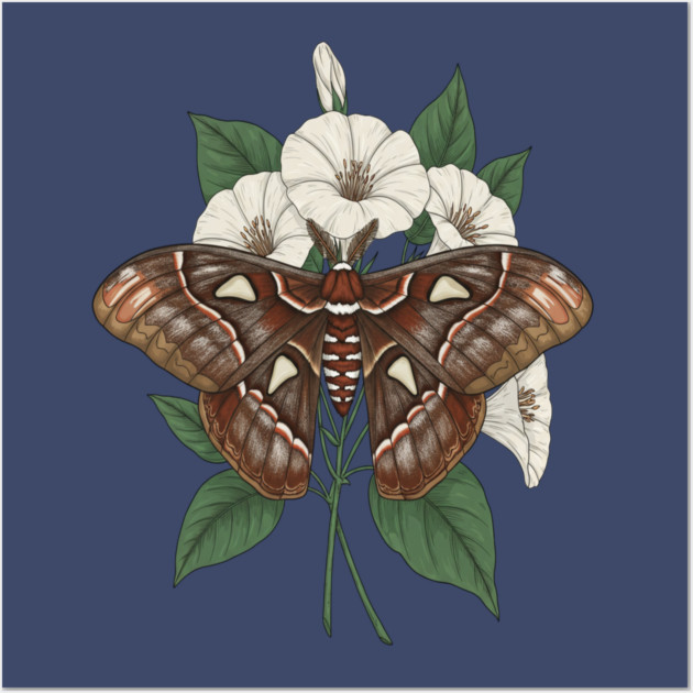 Cecropia Moth Nature Design Wall Art by BirdsnStuff