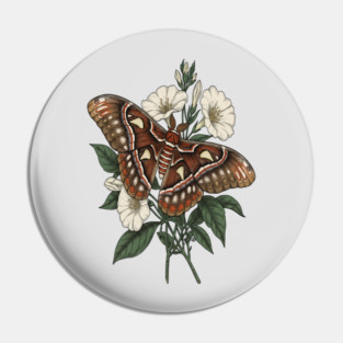 Cecropia Moth with White Wildflowers Pin