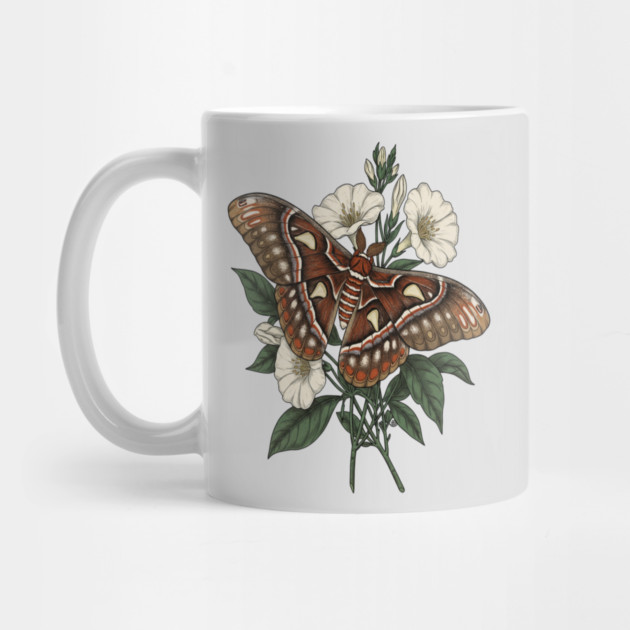 Cecropia Moth with White Wildflowers by BirdsnStuff