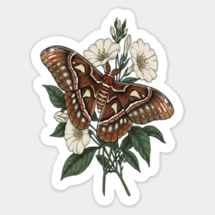 Cecropia Moth with White Wildflowers Magnet