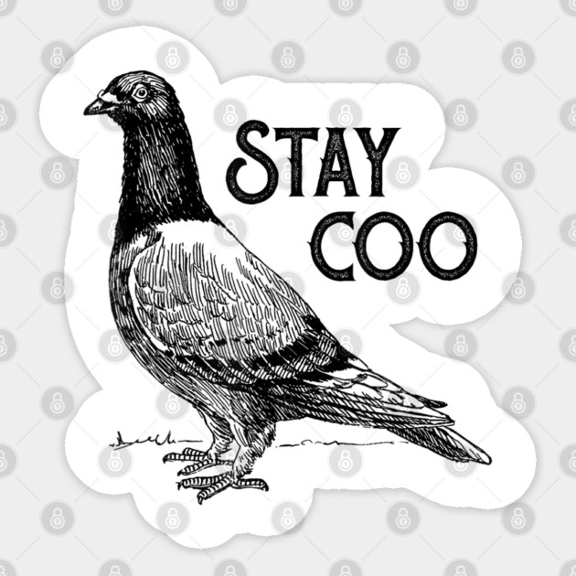 Vintage Vengeance Pigeon Shirt, Retro T-Shirt, Silly Pigeons lover Shirt, funny Pigeon unhinged meme Sticker by dtr_art