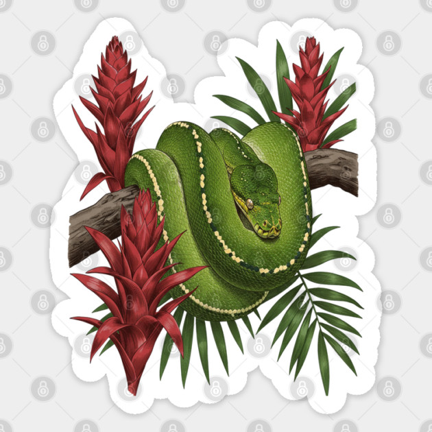 Green Tree Python in Lush Jungle Foliage Sticker by BirdsnStuff