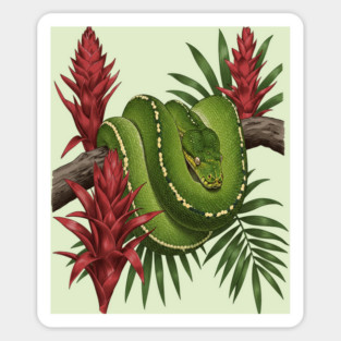 Green Tree Python in Lush Jungle Foliage Magnet