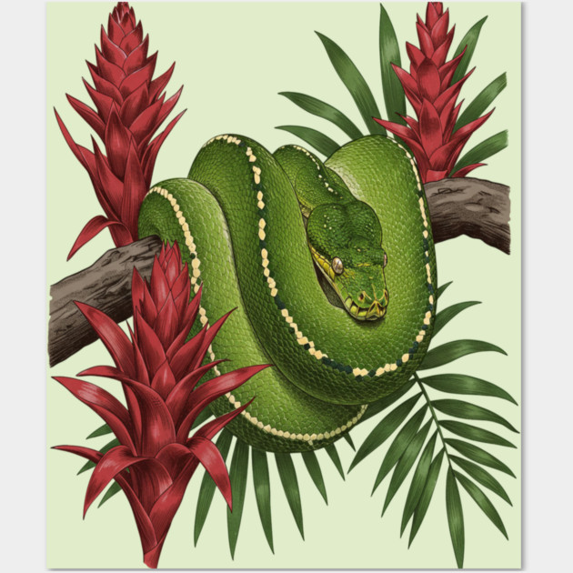 Green Tree Python in Lush Jungle Foliage Wall Art by BirdsnStuff
