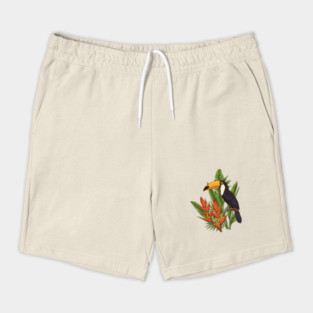 Tropical Toucan With Heliconia Jungle Flowers Shorts