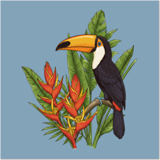 Tropical Toucan With Heliconia Jungle Flowers Posters and Art