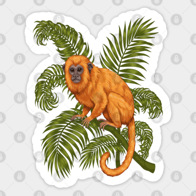 Golden Lion Tamarin Among Tropical Palms Sticker by BirdsnStuff