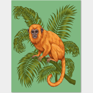 Golden Lion Tamarin Among Tropical Palms Posters and Art