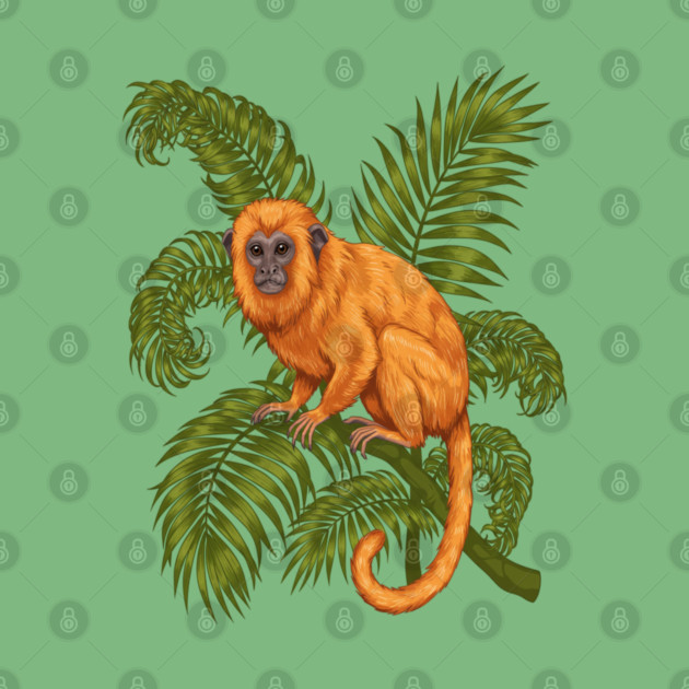 Golden Lion Tamarin Among Tropical Palms by BirdsnStuff