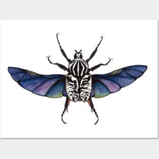Beetle Posters and Art
