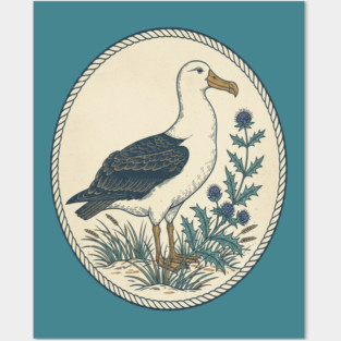 Albatross Maritime Sea Holly Art Posters and Art