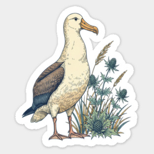 Coastal Albatross Dune Wildlife Art Sticker