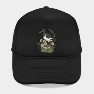 Coastal Oystercatcher Daisy Wildlife Art Hat